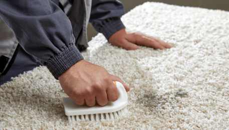 Professional Rug Cleaning Eynesbury